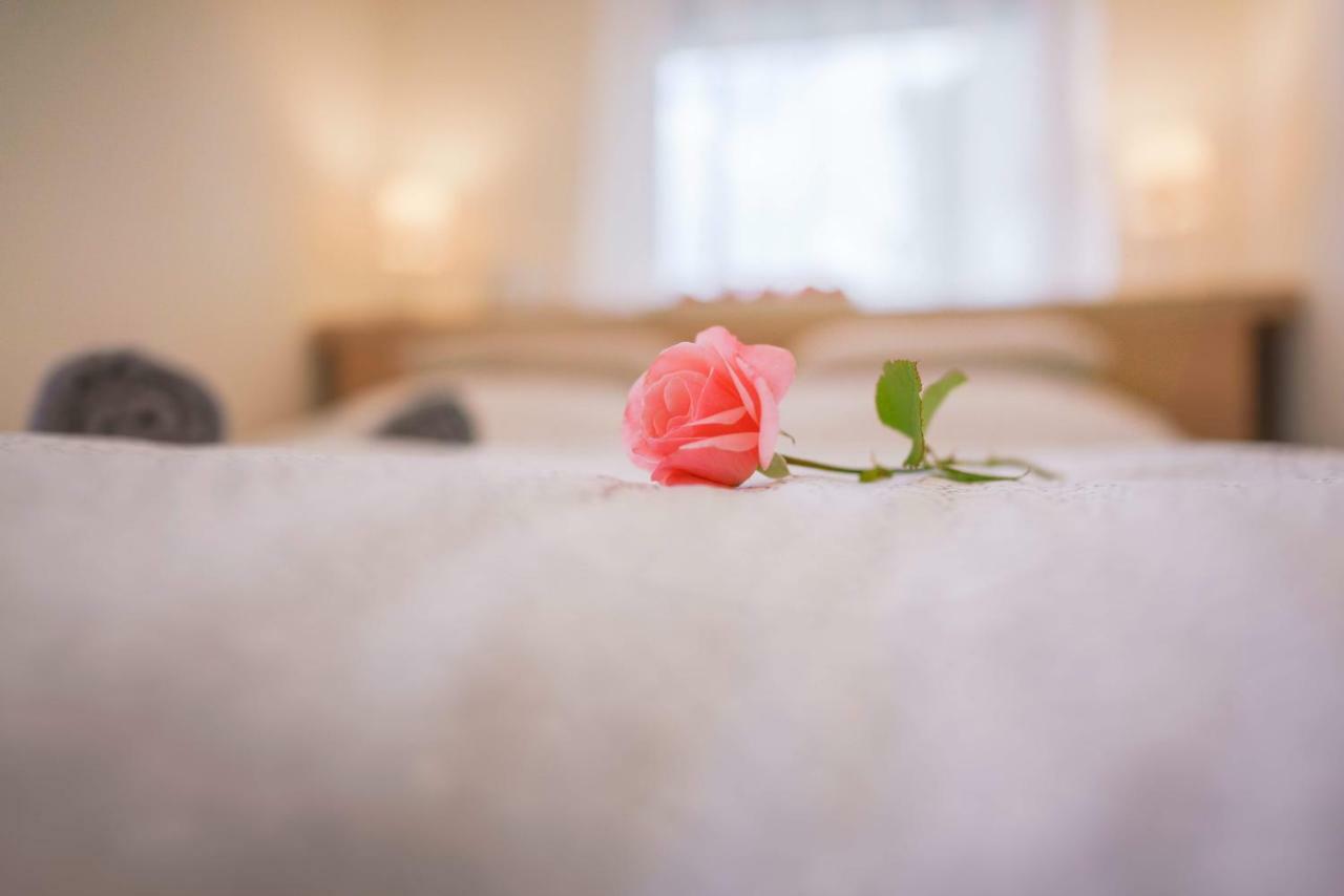 Eleven Apartman House Kestel Dış mekan fotoğraf